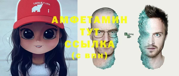 молекула духа Переславль-Залесский