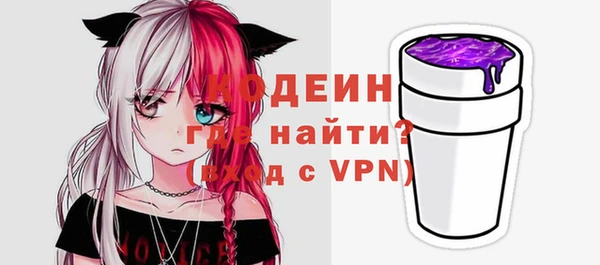 молекула духа Переславль-Залесский