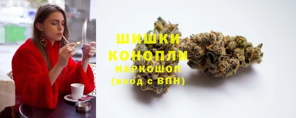 молекула духа Переславль-Залесский