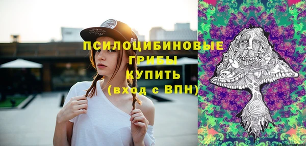 таблы Пересвет