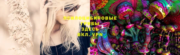 таблы Пересвет