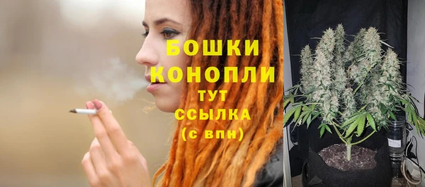 молекула духа Переславль-Залесский