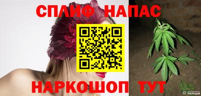 мяу мяу мука Камышлов