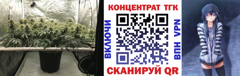 где найти   Коркино  Дистиллят ТГК Wax 