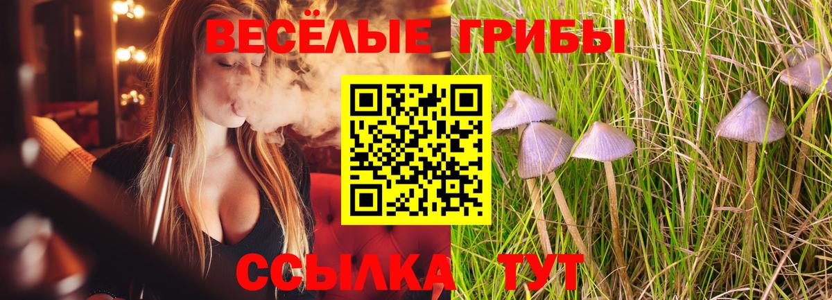 Псилоцибиновые грибы MAGIC MUSHROOMS Коркино