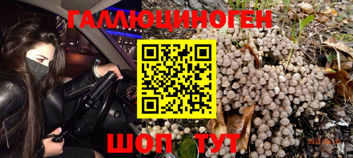 Псилоцибиновые грибы Magic Shrooms  Галлюциногенные грибы Cubensis  Вход с VPN  Коркино 